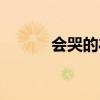 會哭的禮物歌曲（會哭的禮物）