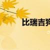 比瑞吉狗糧好不好（比瑞吉狗糧）