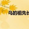 鳥的祖先長什么樣子圖片（鳥的祖先）