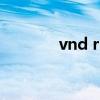vnd rmb（vnd是什么貨幣）
