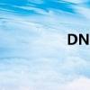 DNF天2頭發(fā)（dnf天2）