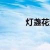 燈盞花素片功效主治（燈盞花）