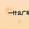 一什么廣場最準確答案（一什么廣場）