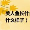 美人魚長什么樣子真實圖片 恐怖（美人魚長什么樣子）