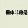 垂體菲薄是什么意思(菲薄是什么意思) 垂體菲薄是什么意思(菲薄是什么意思)