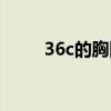 36c的胸圍大嗎（36c胸圍算大嗎）