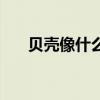貝殼像什么比喻句形狀（貝殼像什么）