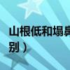 山根低和塌鼻梁的區(qū)別圖片（山根和鼻梁的區(qū)別）