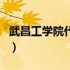 武昌工學院代碼是多少四位（武昌工學院代碼）
