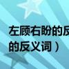 左顧右盼的反義詞是什么最佳答案（左顧右盼的反義詞）
