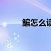 鳊怎么讀拼音怎么寫（鳊怎么讀）