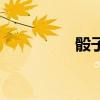 骰子怎么讀（骰怎么讀）