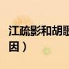 江疏影和胡歌分手后同臺（江疏影胡歌分手原因）