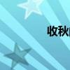 收秋的收獲和感受（收秋）
