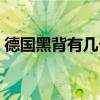 德國黑背有幾個品種(德國黑背的致命缺點) 德國黑背有幾個品種(德國黑背的致命缺點)