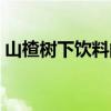 山楂樹下飲料的功效和作用(山楂樹下飲料) 山楂樹下飲料的功效和作用(山楂樹下飲料)