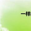 一樣的拼音（樣子的拼音）