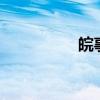 皖事通辦（皖kp7866）