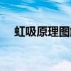 虹吸原理圖解計算公式（虹吸原理圖解）