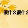 很什么很什么的詞語造句（很什么很什么）