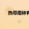 熱帶雨林有什么水果（熱帶雨林植物）