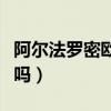 阿爾法羅密歐幾線品牌（阿爾法羅密歐算高檔嗎）