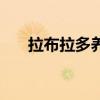 拉布拉多養(yǎng)狗（養(yǎng)拉布拉多的血淚史）