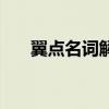 翼點名詞解釋解剖學（翼點名詞解釋）