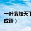 一葉落知天下秋的四字詞語（一葉落知天下秋成語）