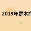 2019年是木命嗎（2019年是木命還是土命）