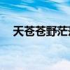 天蒼蒼野茫茫DJ女團(tuán)（天蒼蒼野茫茫dj）