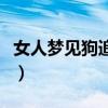 女人夢見狗追咬是什么預兆（夢見被狗追著咬）