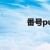 番號pubg黑號（番號sw165）