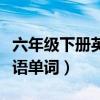 六年級(jí)下冊(cè)英語(yǔ)單詞第一單元（六年級(jí)下冊(cè)英語(yǔ)單詞）