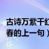 古詩(shī)萬(wàn)紫千紅總是春的上一句（萬(wàn)紫千紅總是春的上一句）