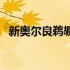 新奧爾良鵜鶘隊(duì)怎么讀（新奧爾良鵜鶘隊(duì)）