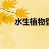水生植物登陸的時(shí)間是()（水生植物）