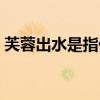 芙蓉出水是指什么動物（芙蓉出水打一生肖）