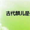古代麟兒是什么意思（麟兒是什么意思）