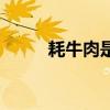 耗牛肉是哪個(gè)省的特產(chǎn)（耗牛肉）