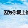 因?yàn)槟銗凵纤母柙~（因?yàn)槟銗凵纤徛暎? title=