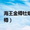 海王金樽牡蠣大豆肽肉堿口服液功效（海王金樽）