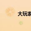 大玩家 筆趣閣（大玩家小齋）