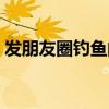 發(fā)朋友圈釣魚的文案（發(fā)朋友圈的釣魚句子）