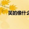 笑的像什么可以怎么說(shuō)（笑的像什么）