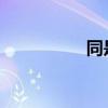 同是天涯淪落人的意思