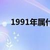 1991年屬什么命五行（1991年屬什么）