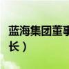 藍(lán)海集團(tuán)董事長(zhǎng)安英演講視頻（藍(lán)海集團(tuán)董事長(zhǎng)）