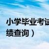 小學畢業(yè)考試成績查詢入口（小學畢業(yè)考試成績查詢）