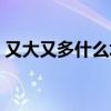 又大又多什么填空（又大又多照樣子寫詞語）